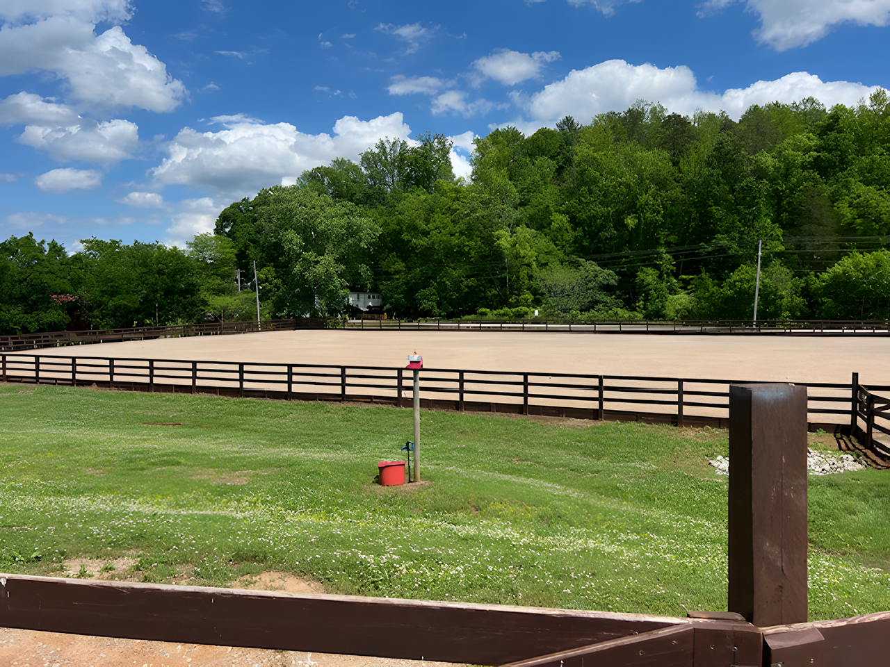 Open Field at Buttermilk Farm