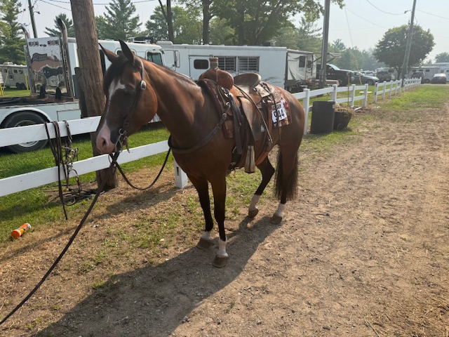 Farm Scene at Buttermilk Farm (IMG_0960)