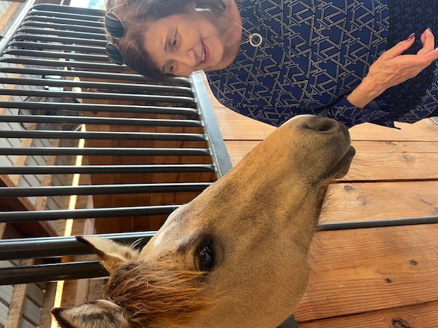 Farm Scene at Buttermilk Farm (IMG_1870)